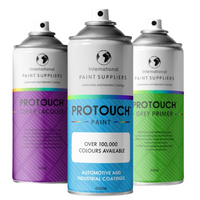 Citroen Grey Car Spray Paint