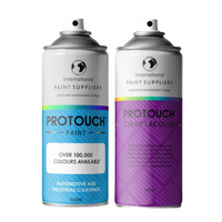 Citroen Grey Car Spray Paint