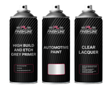 Renault D69 Platine/Platinum Silver Basecoat