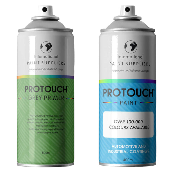 ProTouch Basecoat Paint Aerosol + Primer To Registration Number