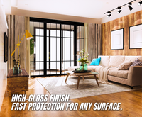 ProTouch Home Gloss Clear Lacquer 400ml