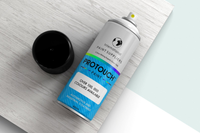 Protouch Gloss Black Spray Paint Aerosol 500ml, Fast-Drying, Easy To Use